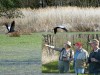 Naturbeobachtungen Calauer Schweiz